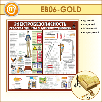 ����� ��������������������. �������� ������ � ������������������ (EB-06-GOLD)
