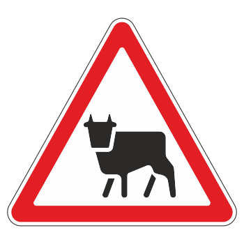 �������� ���� 1.26 �������� ����� (������ 0,8 ��, I ����������: ������� 700 ��, �/� ������: ��� � �����������������)