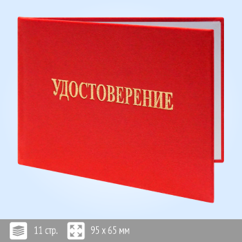 ����� ������������� �� �������� ������ ���� � ������ ��������� ����������� ����������������� (����-15)